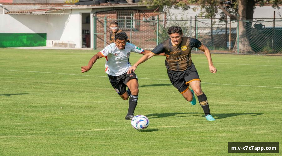 c7娱乐-c7c7.app娱乐官方网站-C7 YULE